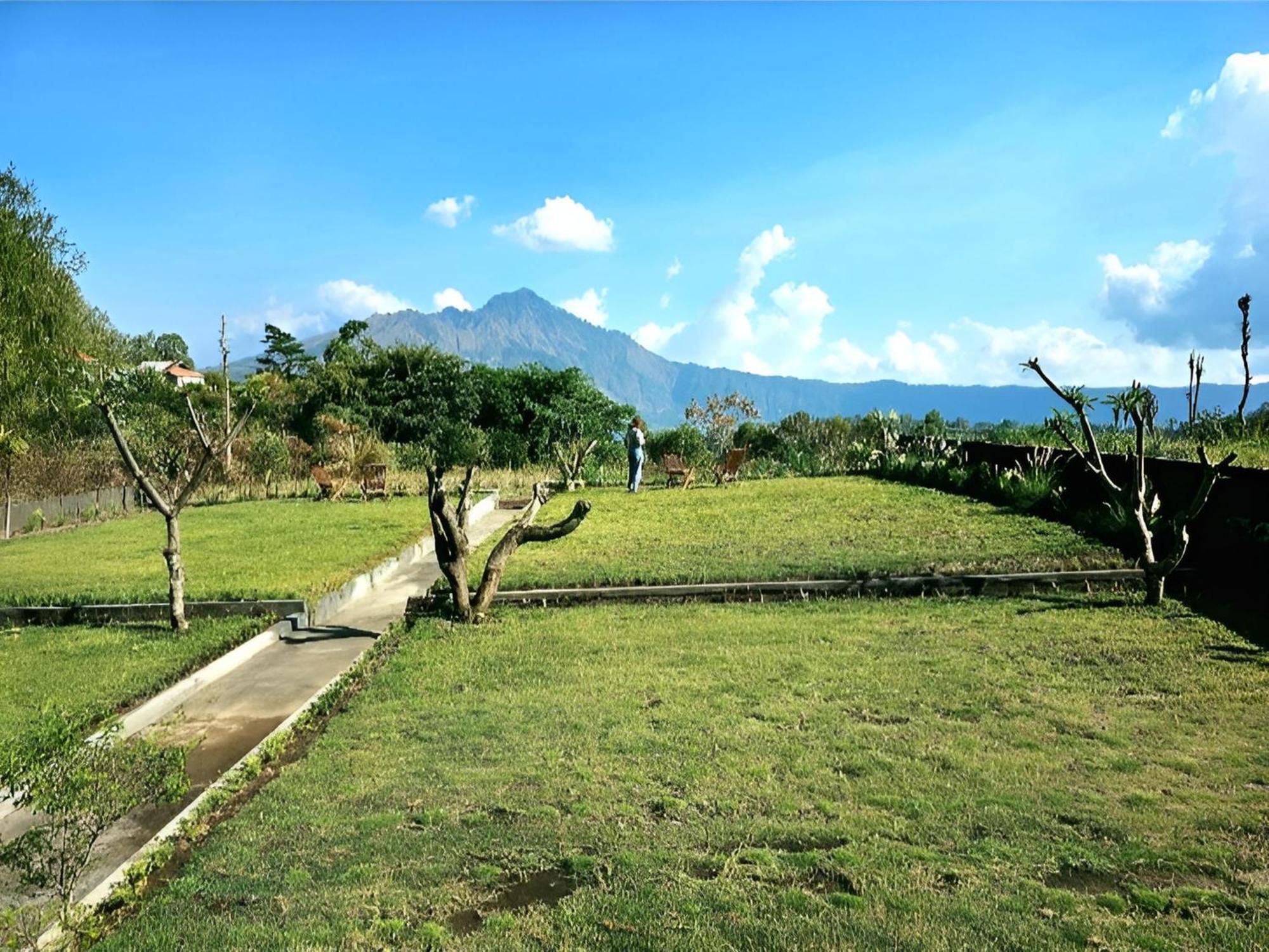 Hillside Bali Bed & Breakfast Kubupenlokan Exterior photo