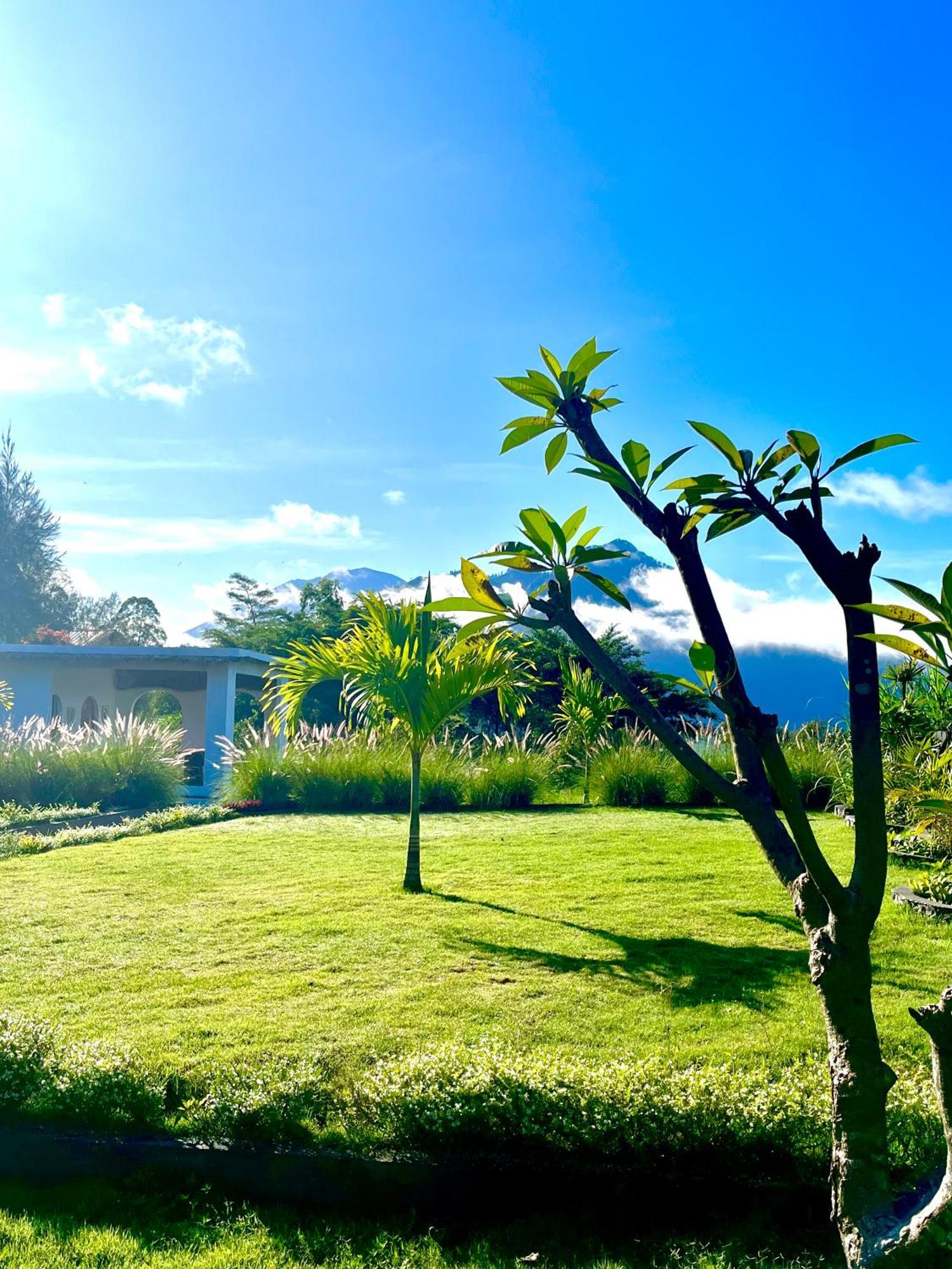 Hillside Bali Bed & Breakfast Kubupenlokan Exterior photo